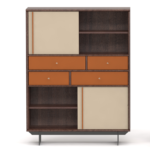 Dark Wood Storage Cabinet Orange Drawers Neutral Panels Modern Organizer Furniture